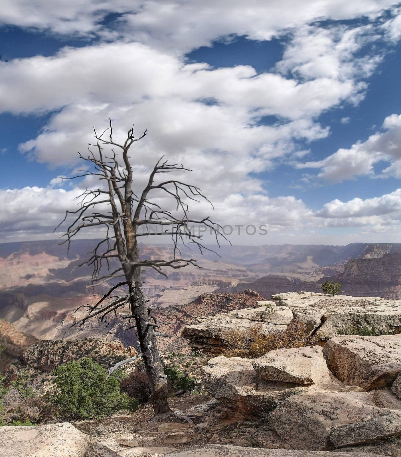 The Grand Canyon. Views of the canyon, the landscape and nature.