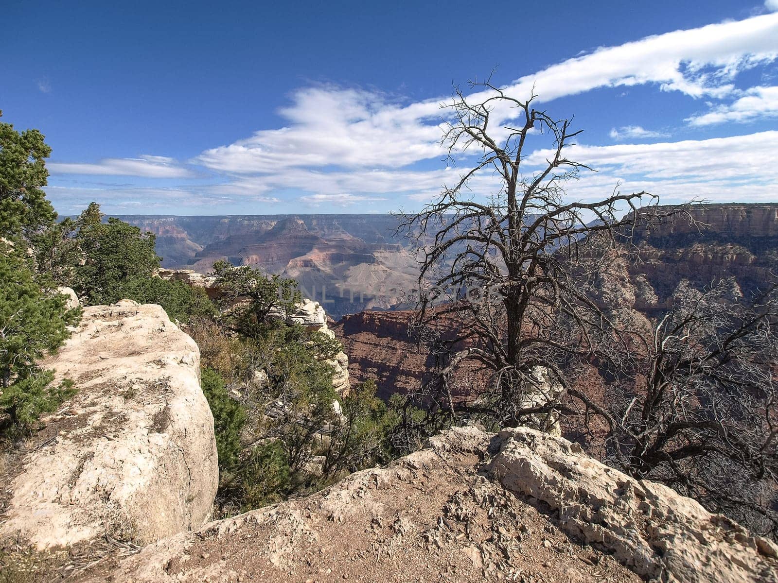 The Grand Canyon. Views of the canyon, the landscape and nature.