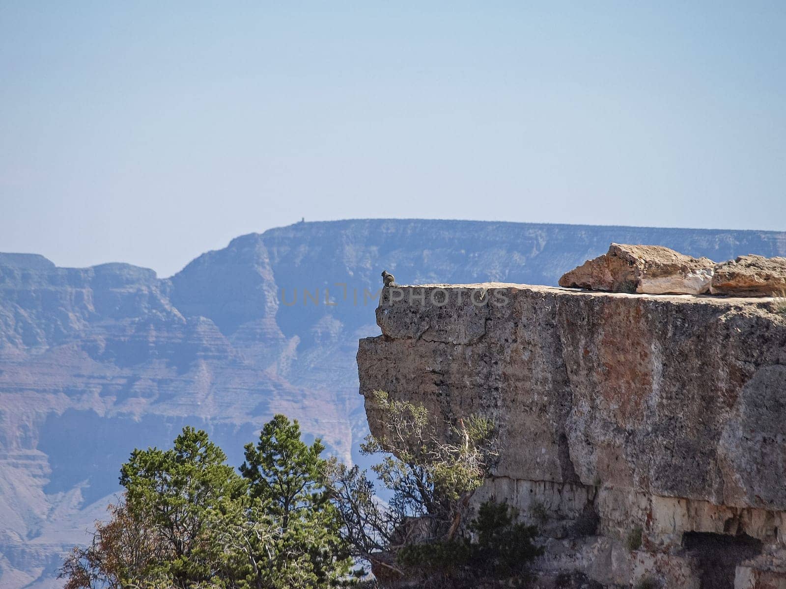 The Grand Canyon. Views of the canyon, the landscape and nature.