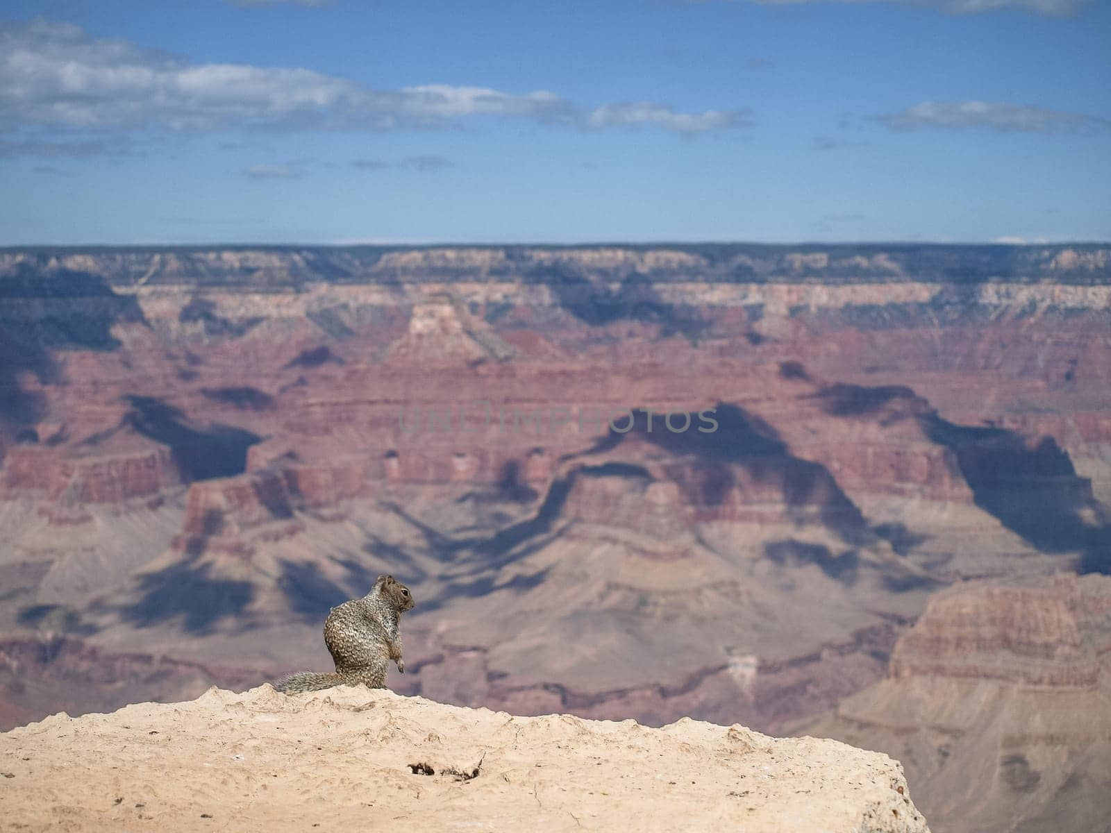 The Grand Canyon. Views of the canyon, the landscape and nature.