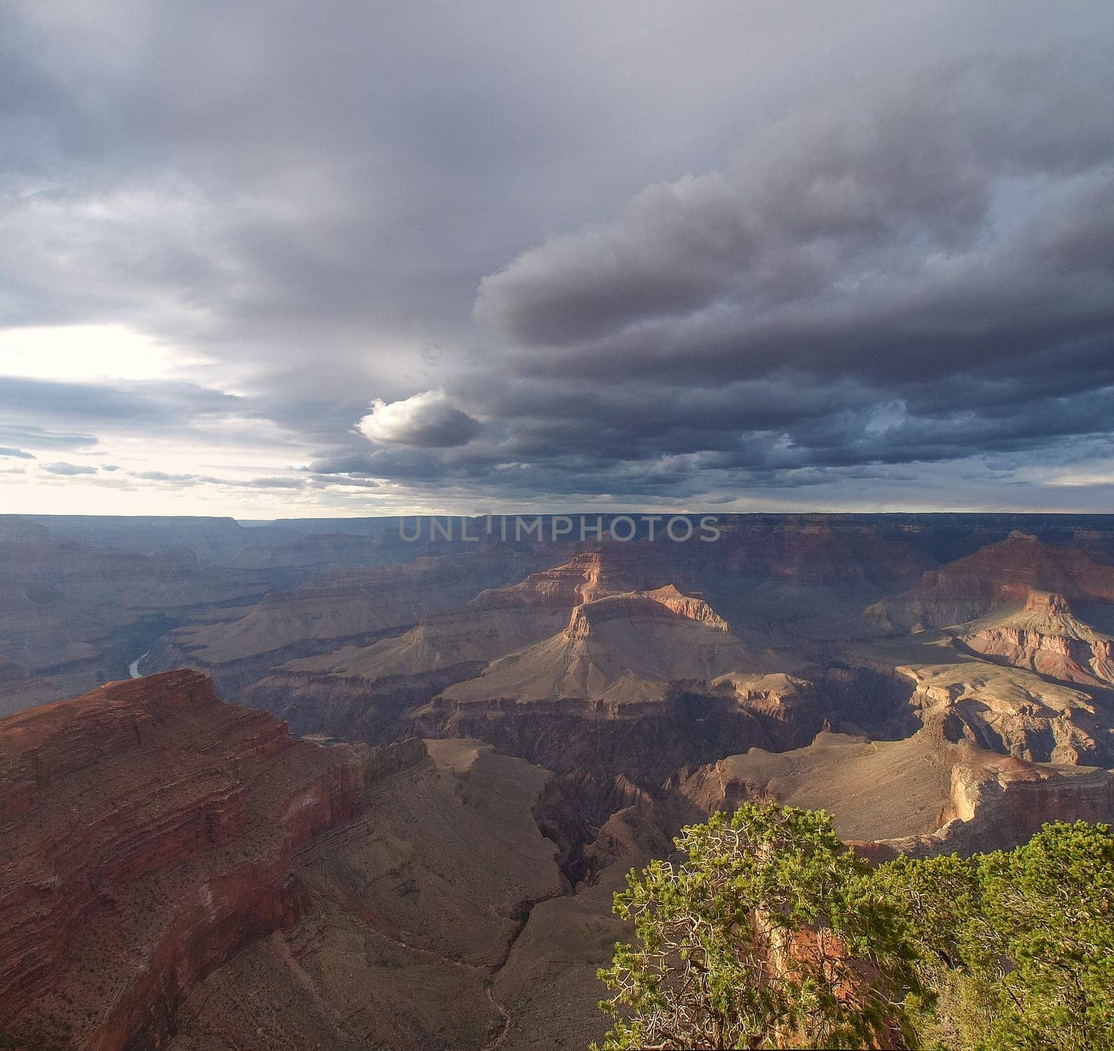 The Grand Canyon. Views of the canyon, the landscape and nature.