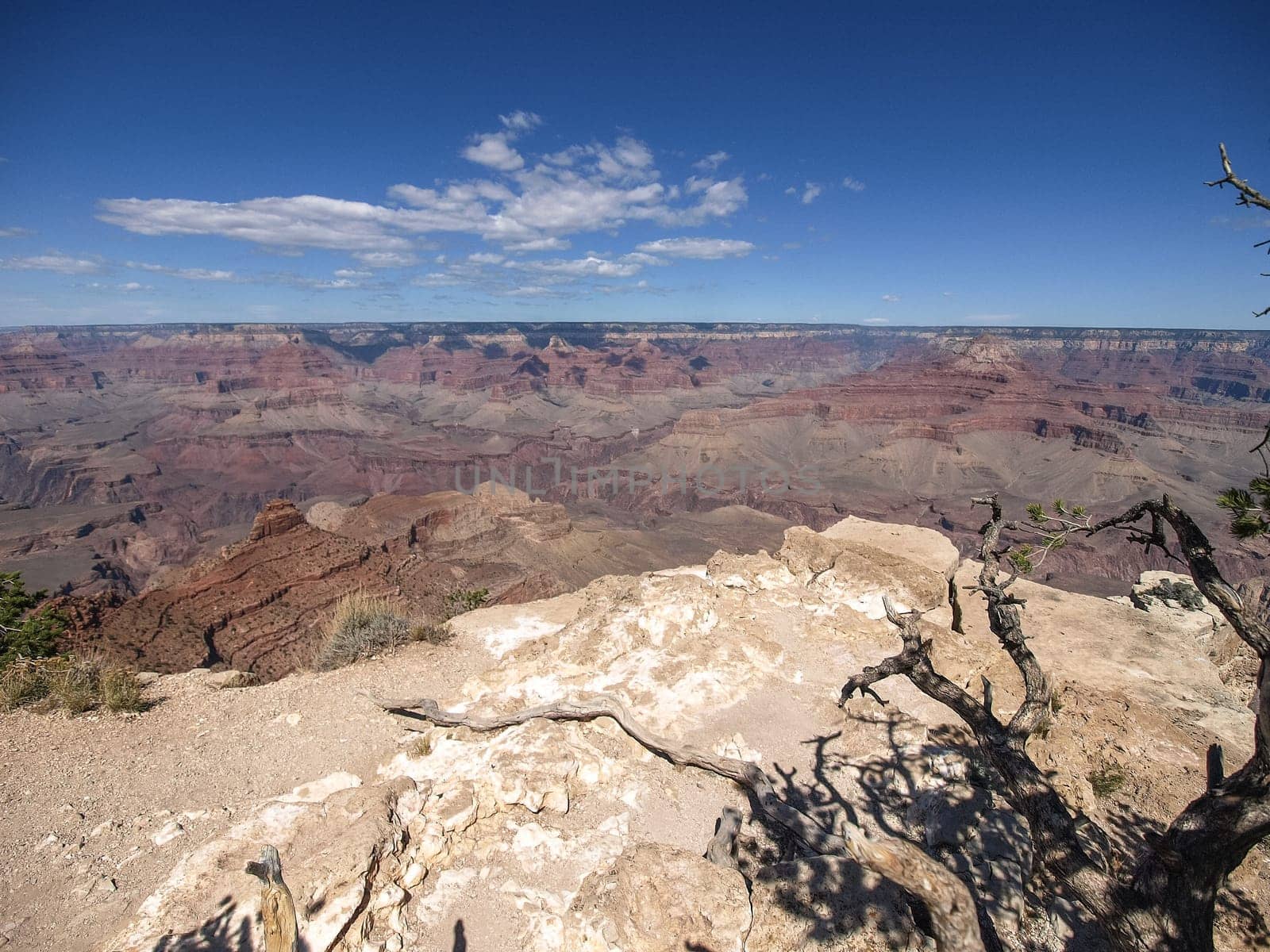 The Grand Canyon. Views of the canyon, the landscape and nature.