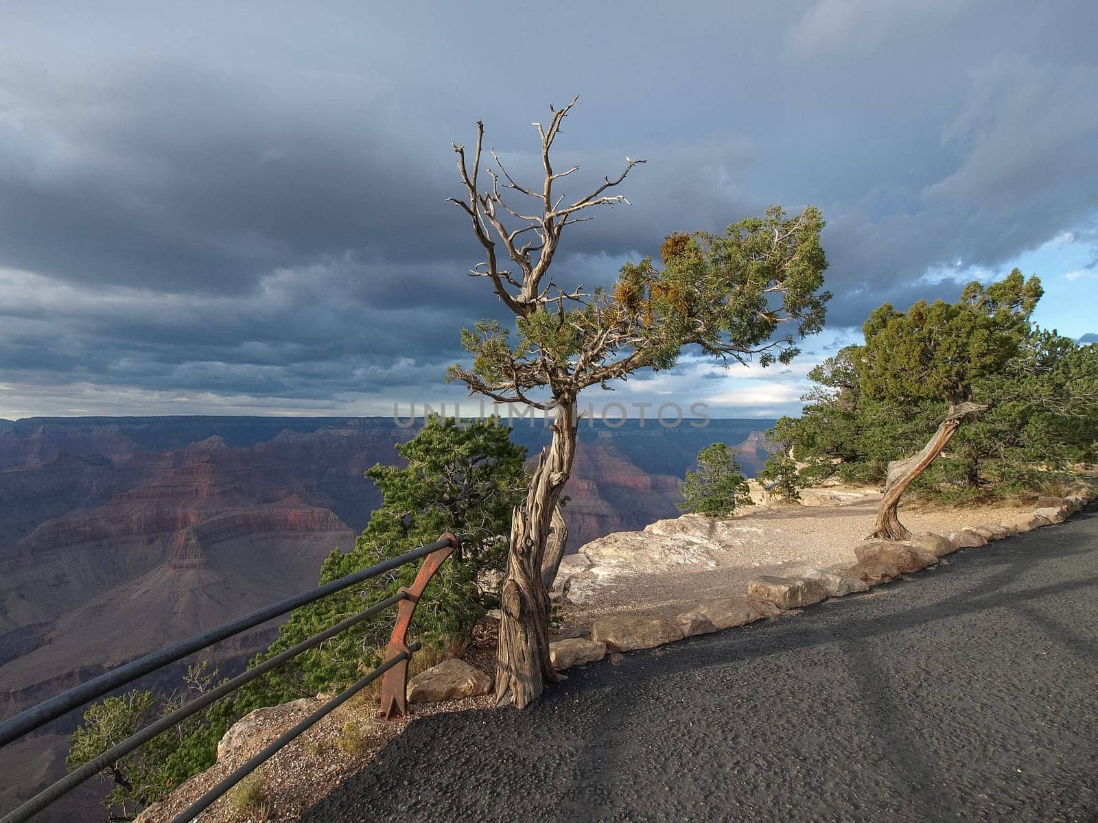 The Grand Canyon. Views of the canyon, the landscape and nature.