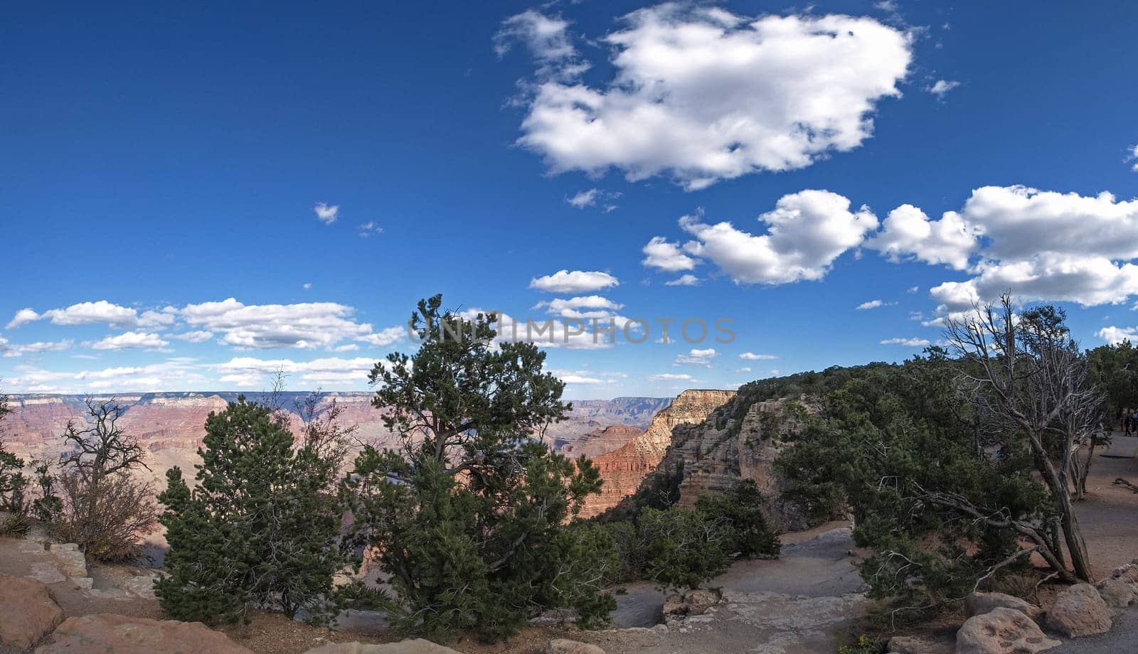 The Grand Canyon. Views of the canyon, the landscape and nature.