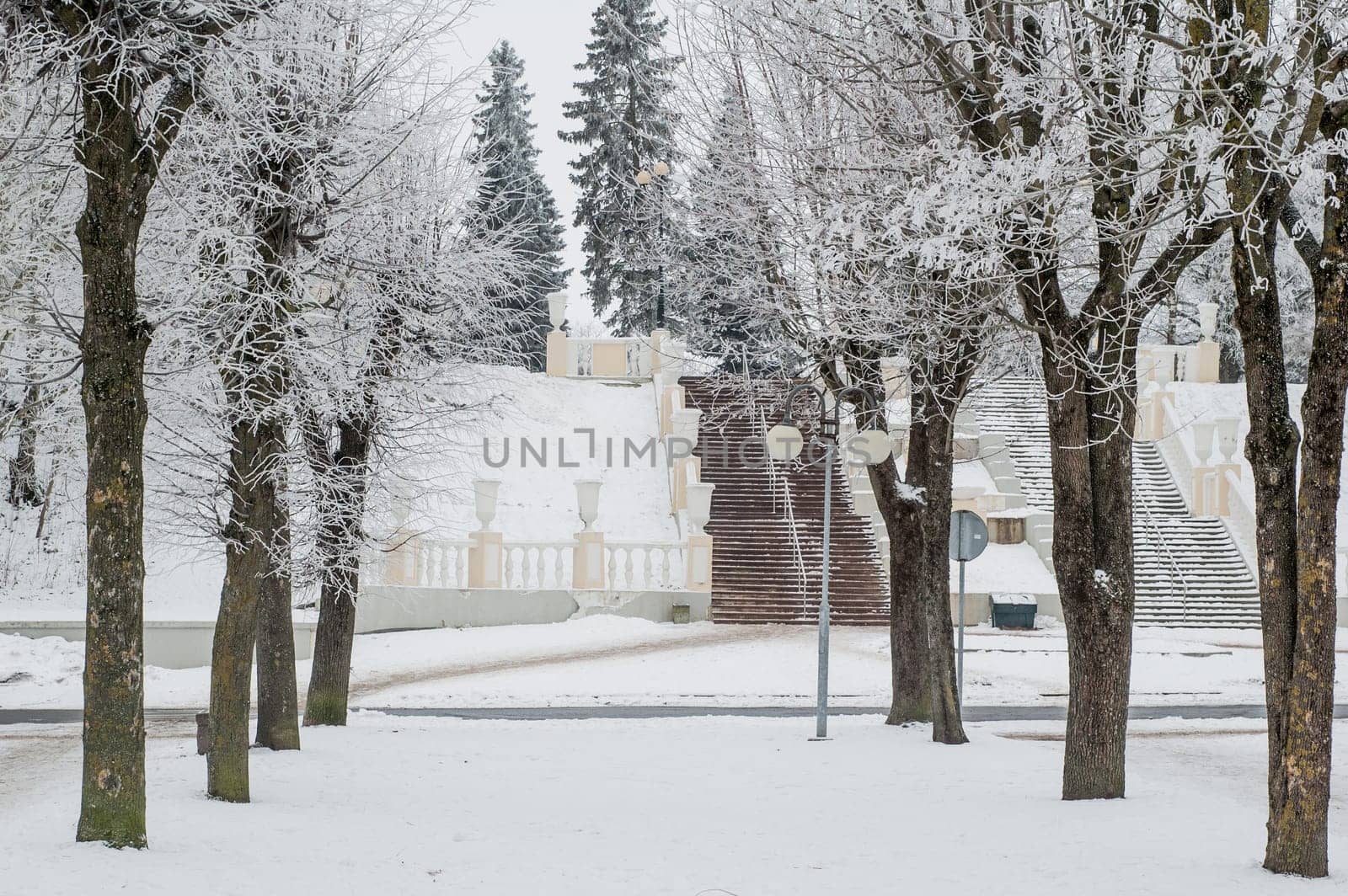 City park in the winter, the trees covered with hoarfrost