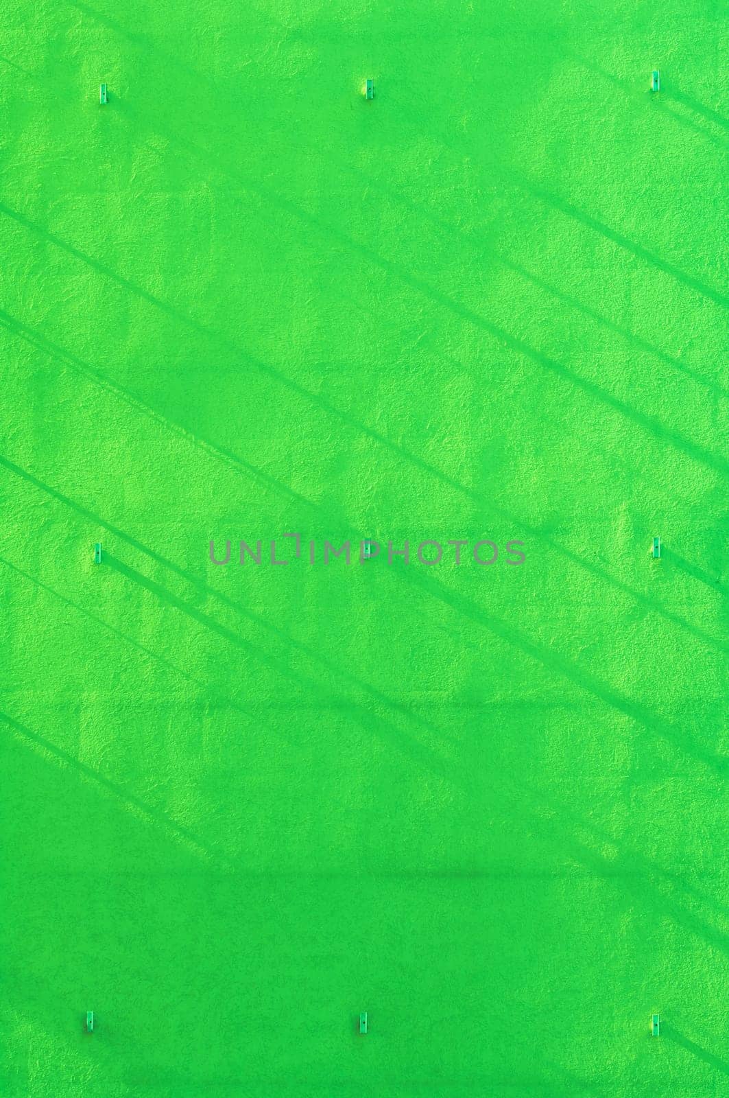 Green wall background with narrow shadow strips