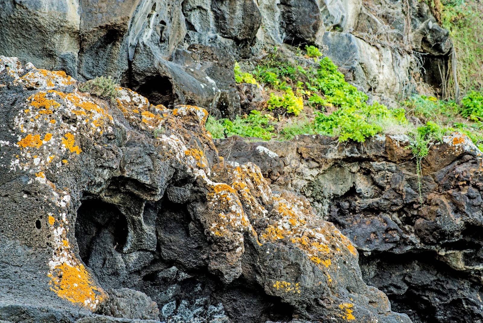 Volcanic coast of Tenerife with solidified lava