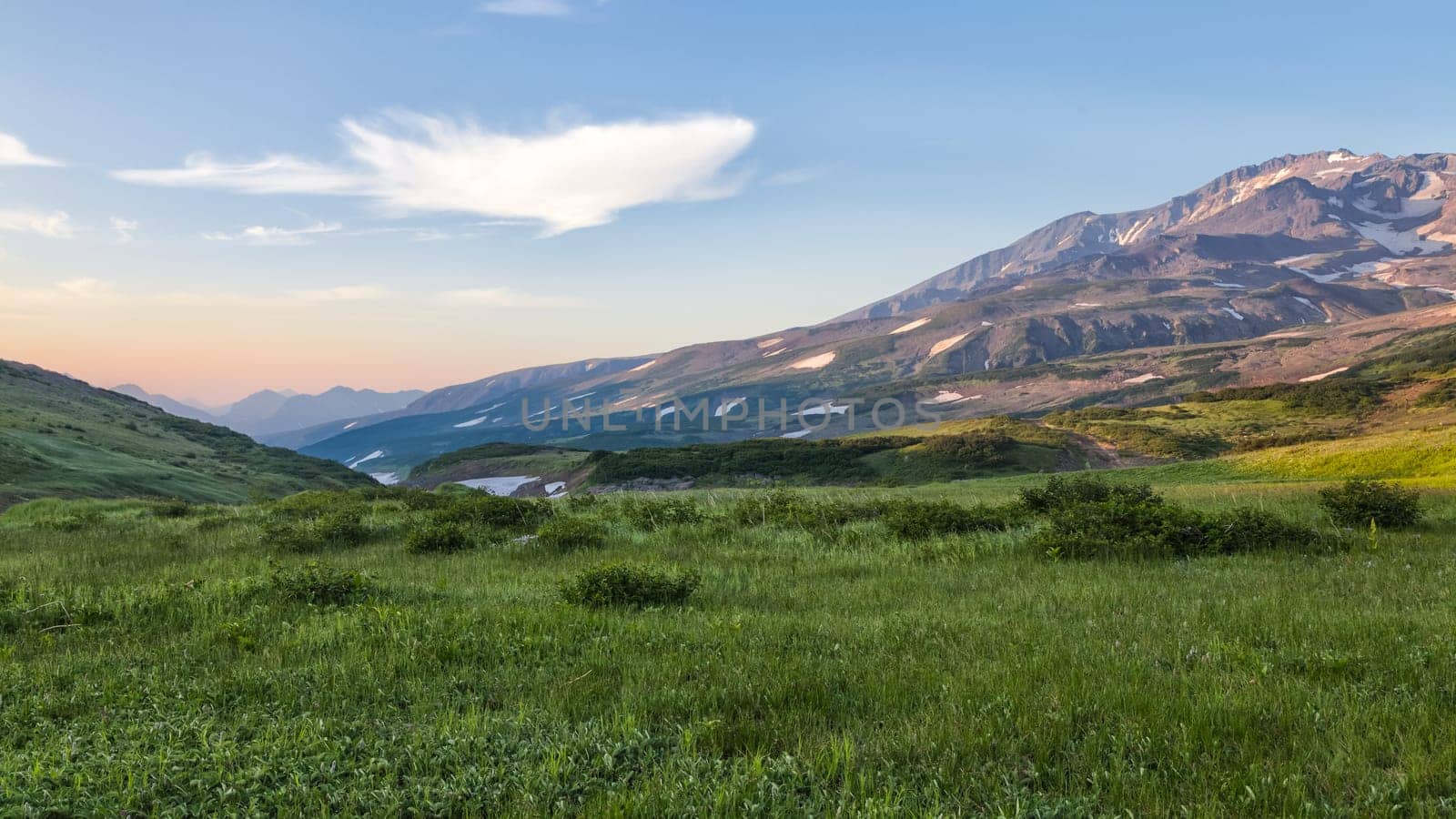 Flora of Kamchatka. Forests and fields. Nature of Kamchatka. Landscapes and magnificent views of the Kamchatka Peninsula.