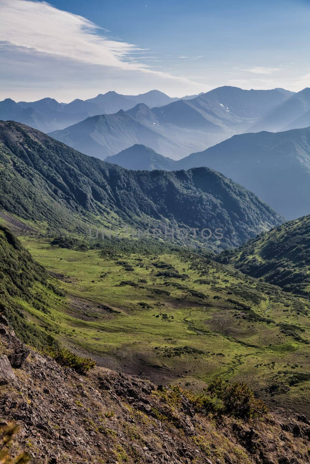 Flora of Kamchatka. Forests and fields. Nature of Kamchatka. Landscapes and magnificent views of the Kamchatka Peninsula.