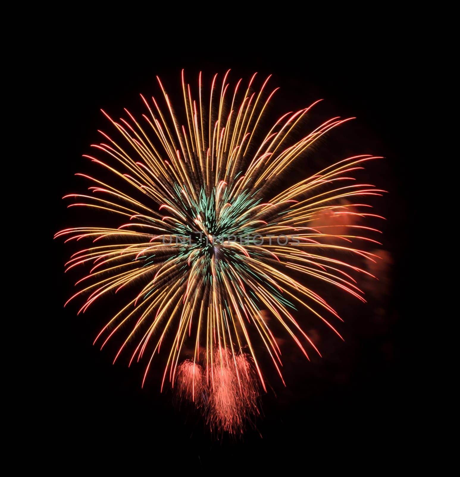 Colorful fireworks exploding in the night sky