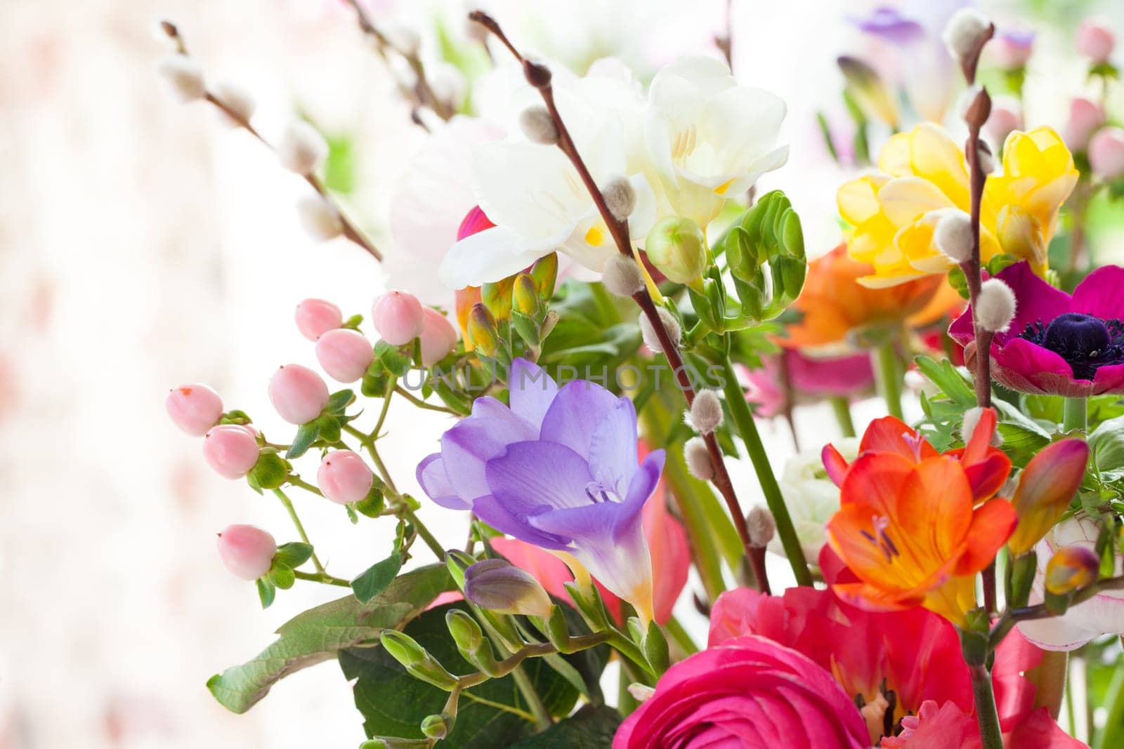 Various colourful flowers in Spring