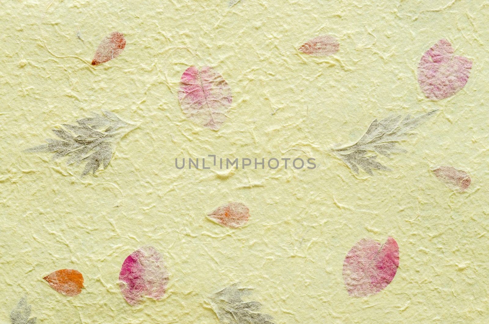 Yellow mulberry paper with petal and leaf texture used for a background.
