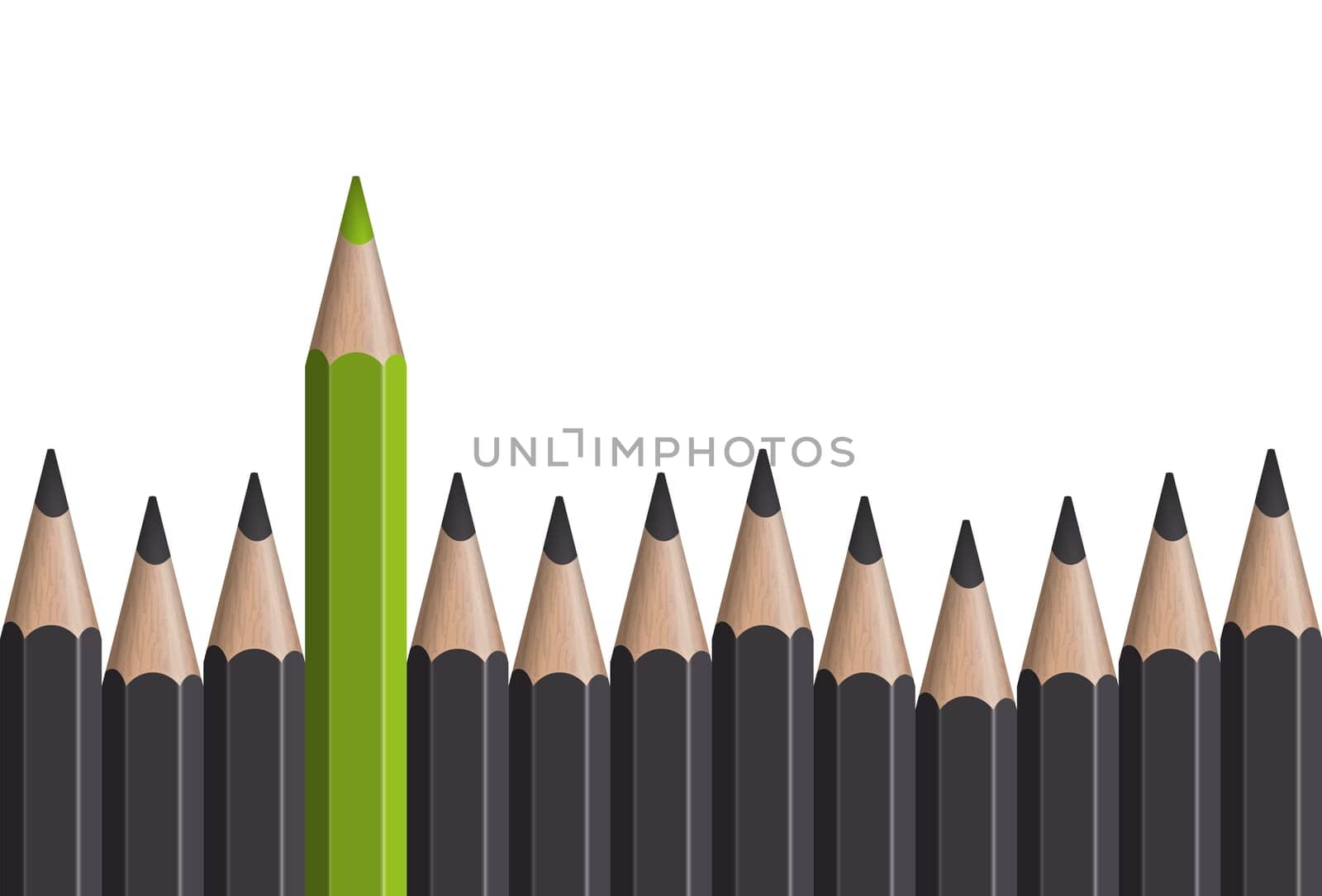 row of gray pencils with one colored green symbolizing the special one