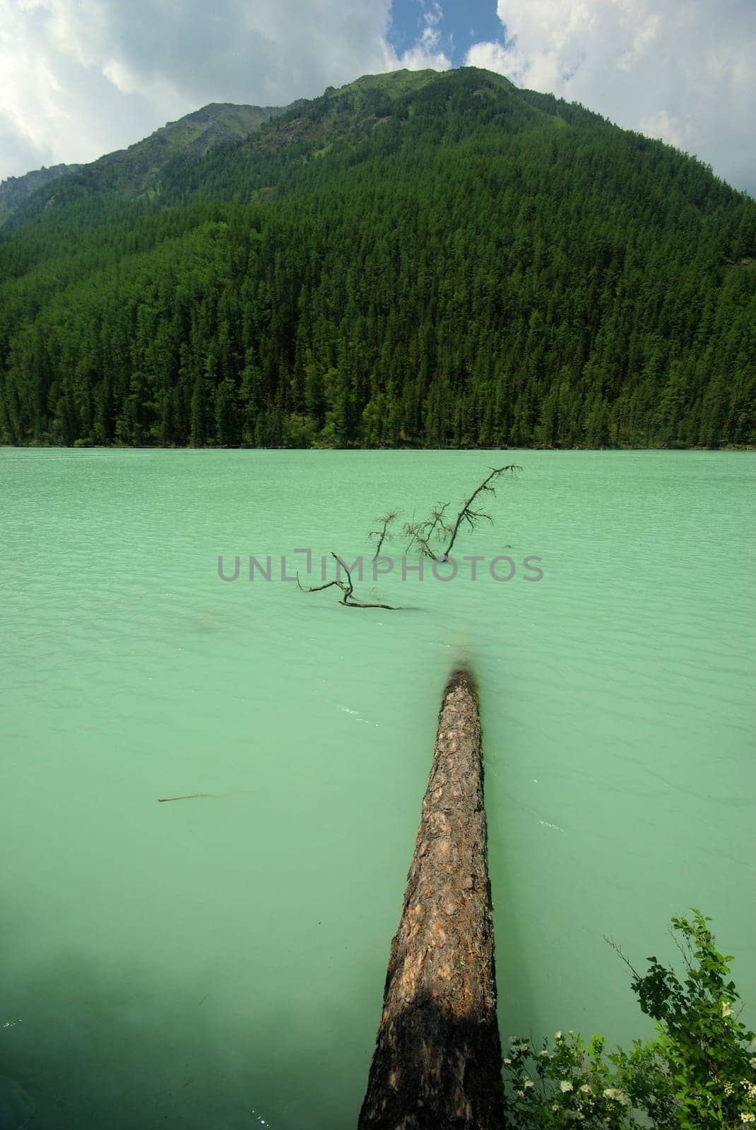 Beautiful mountain landscape near the lake. Mountain Lake. Kind of mountainous terrain and the water in the valley.