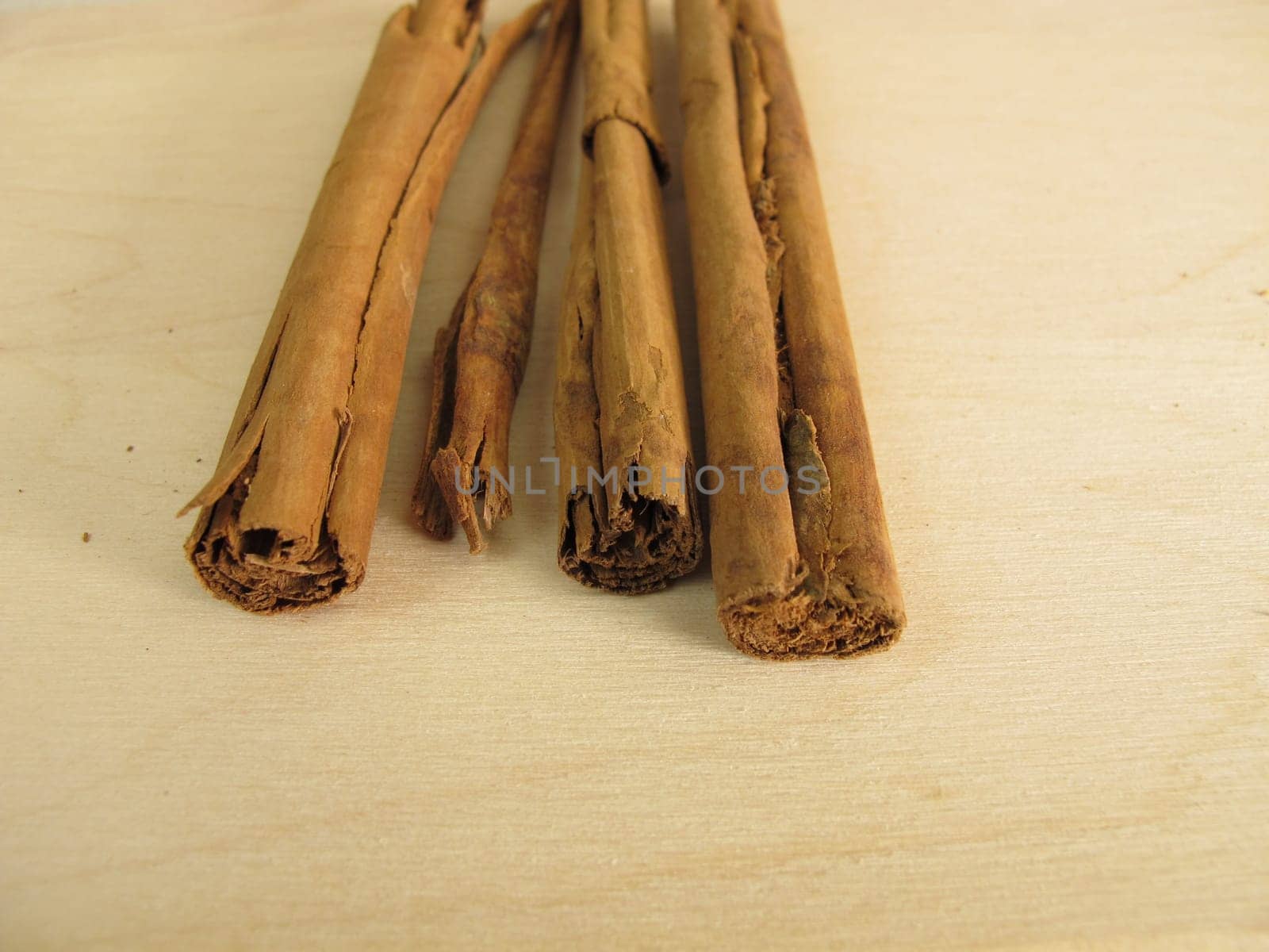 Dried cinnamon sticks of Ceylon cinnamon