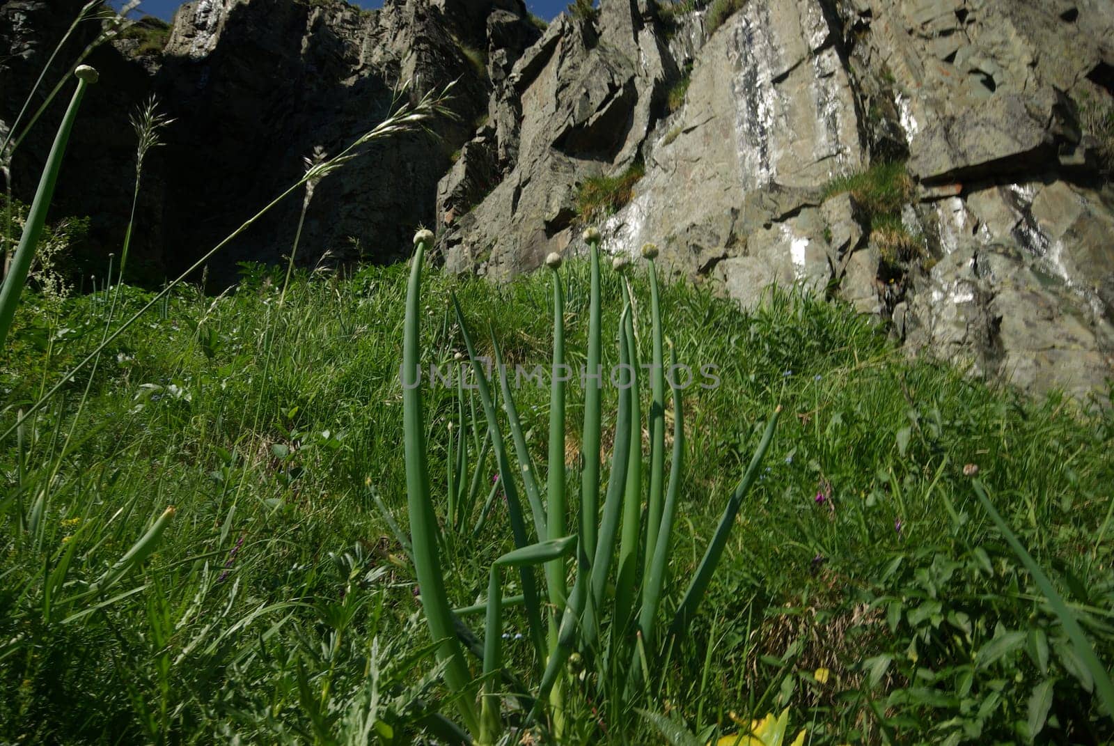 Mountain landscape. Highlands, the mountain peaks, gorges and valleys. The stones on the slopes.