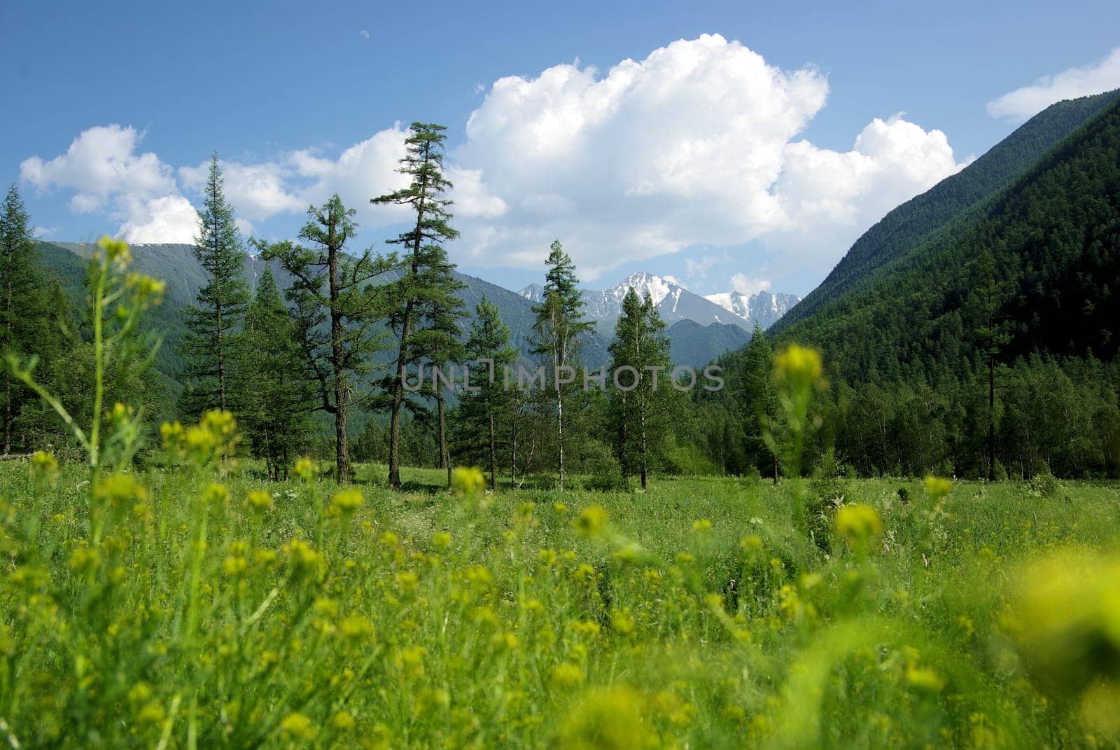 Mountain landscape. Highlands, the mountain peaks, gorges and valleys. The stones on the slopes.