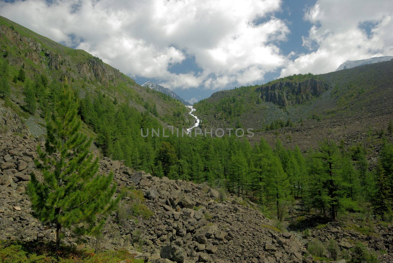 Mountain landscape. Highlands, the mountain peaks, gorges and valleys. The stones on the slopes.
