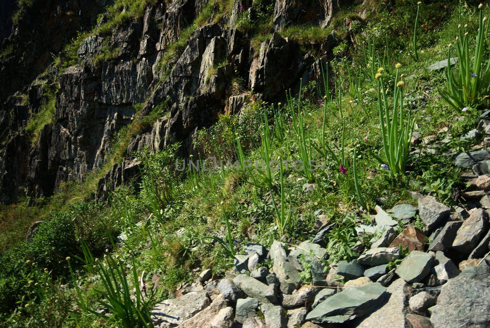 Mountain landscape. Highlands, the mountain peaks, gorges and valleys. The stones on the slopes.