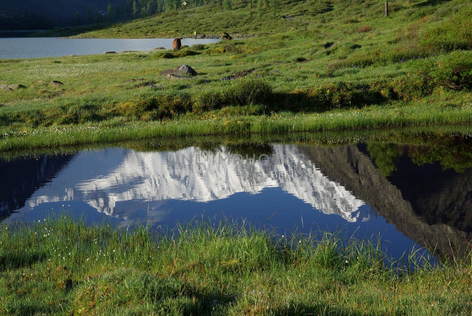 Beautiful mountain landscape near the lake. Mountain Lake. Kind of mountainous terrain and the water in the valley.