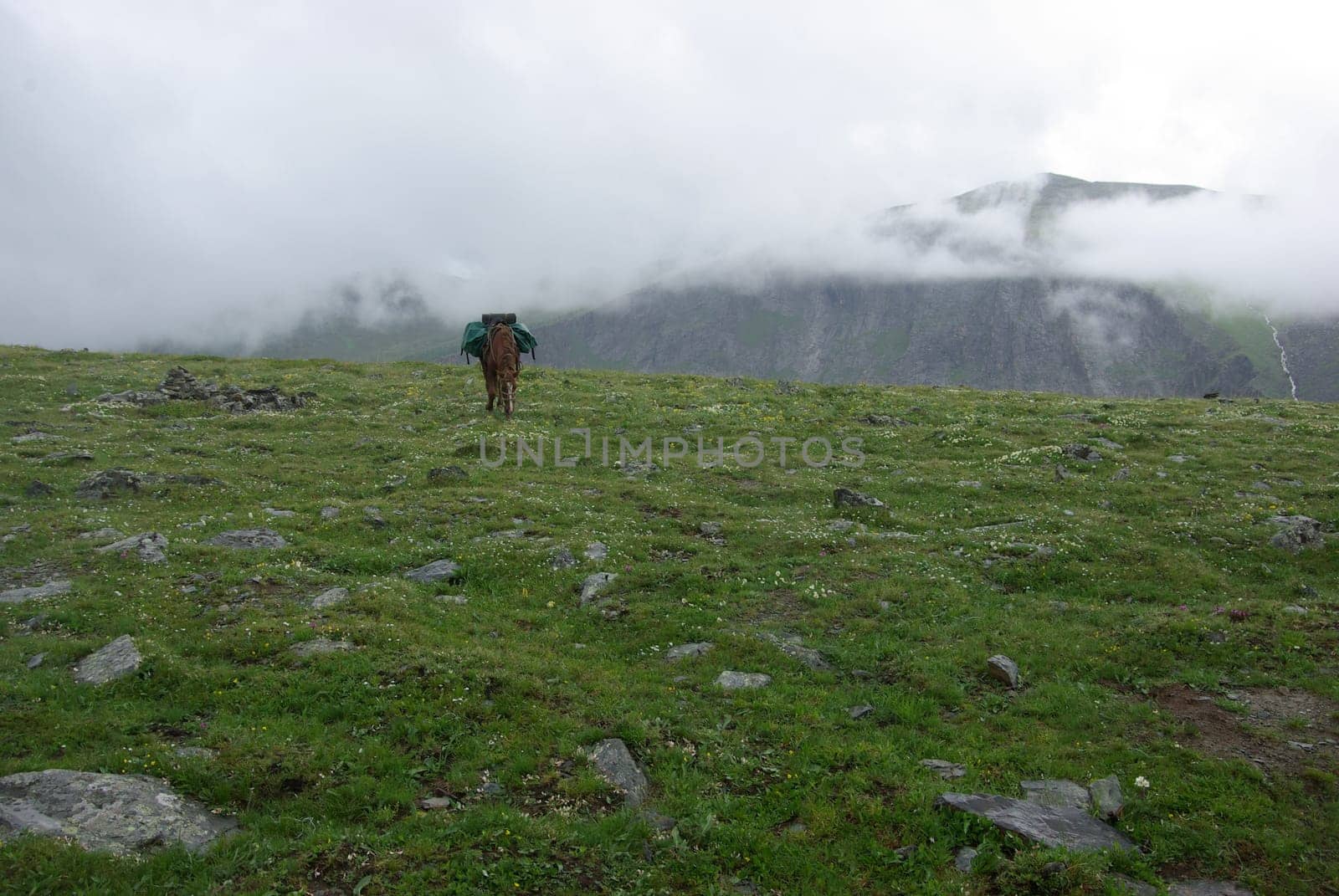 Mountain landscape. Highlands, the mountain peaks, gorges and valleys. The stones on the slopes.