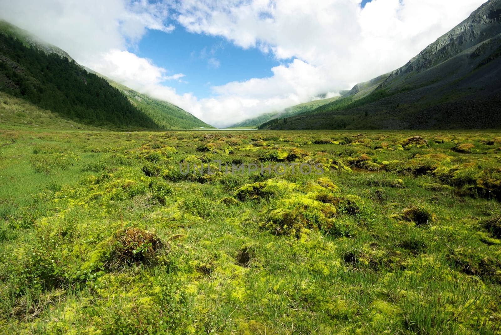 Mountain landscape. Highlands, the mountain peaks, gorges and valleys. The stones on the slopes.