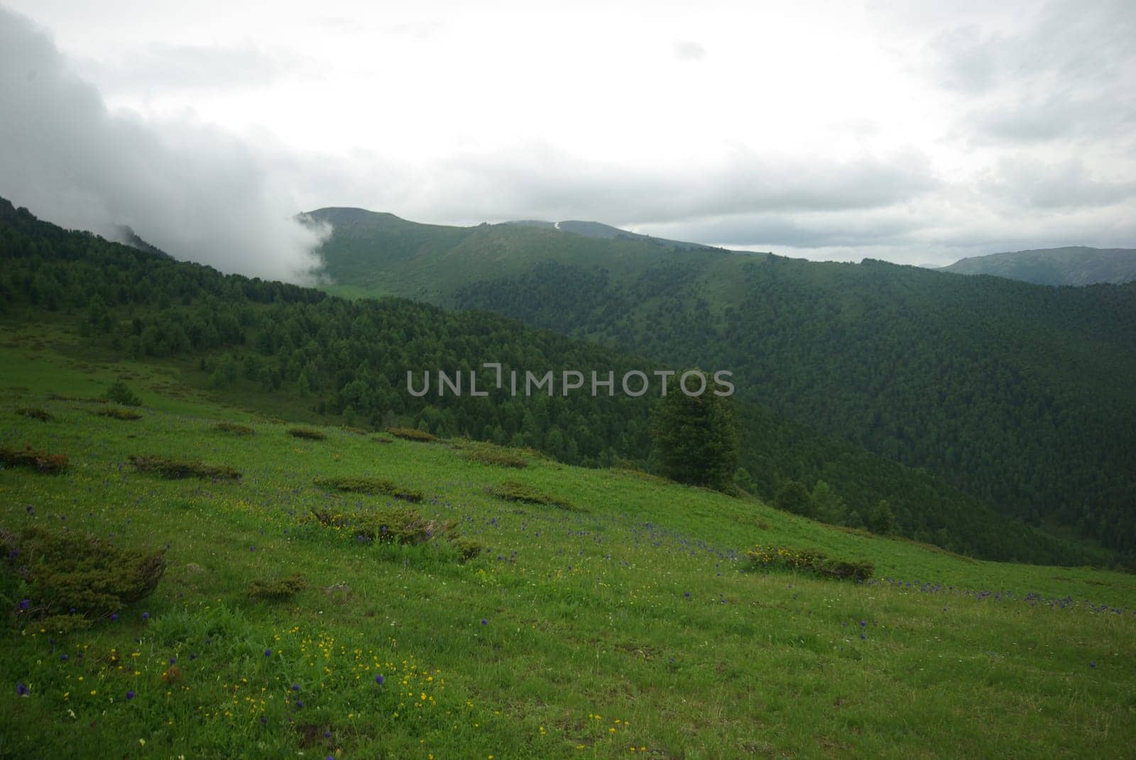 Mountain landscape. Highlands, the mountain peaks, gorges and valleys. The stones on the slopes.