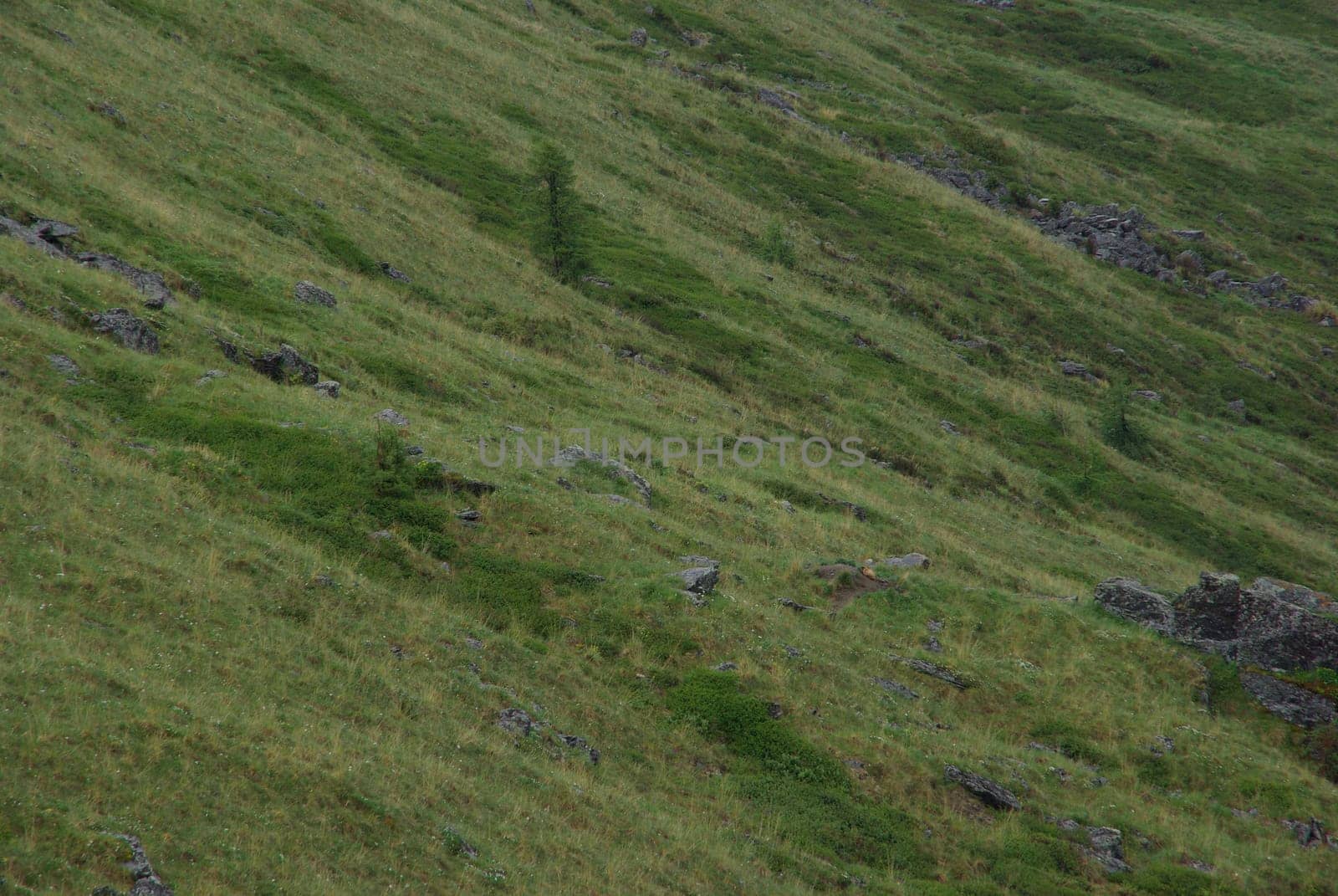 Mountain landscape. Highlands, the mountain peaks, gorges and valleys. The stones on the slopes.