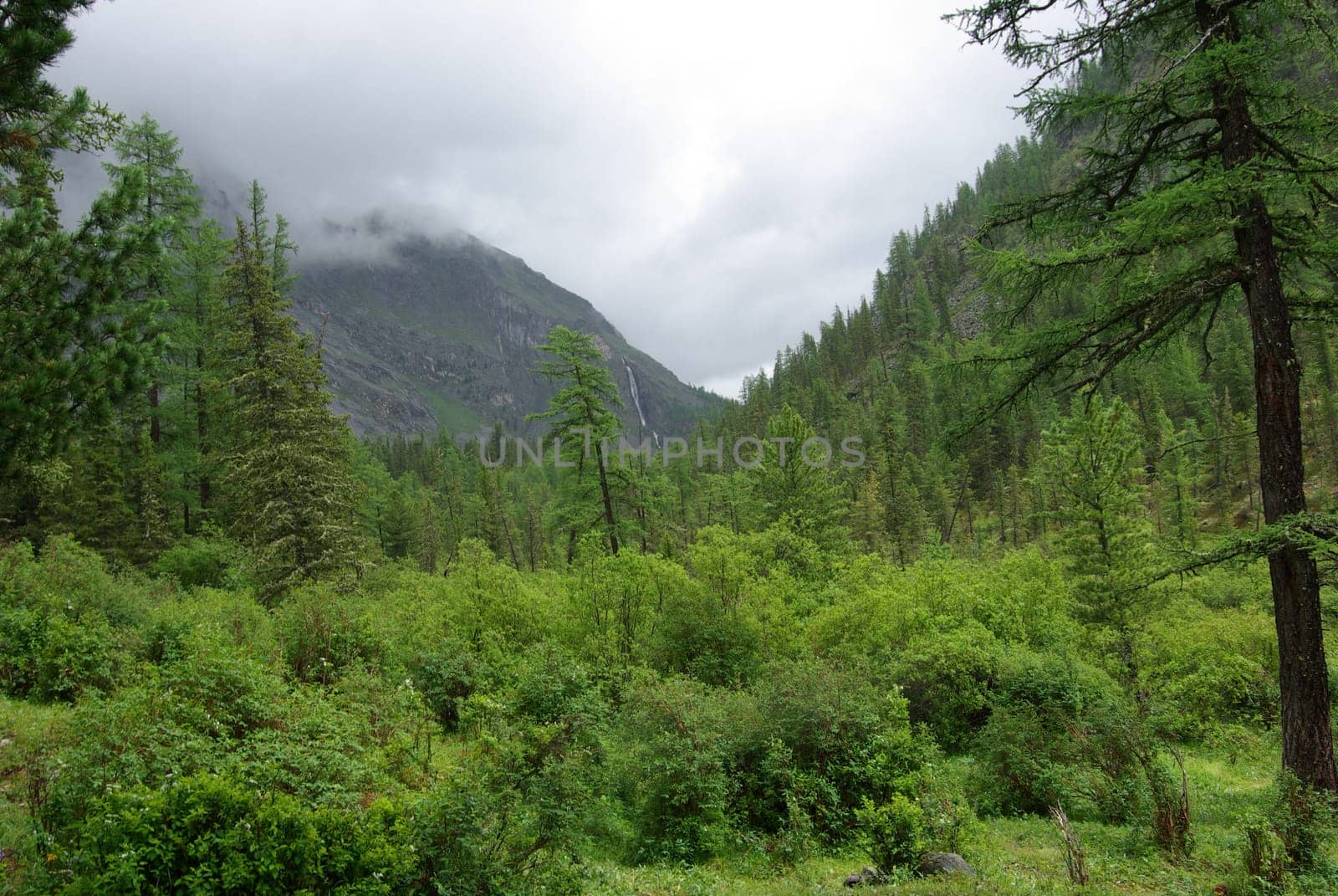 Mountain landscape. Highlands, the mountain peaks, gorges and valleys. The stones on the slopes.