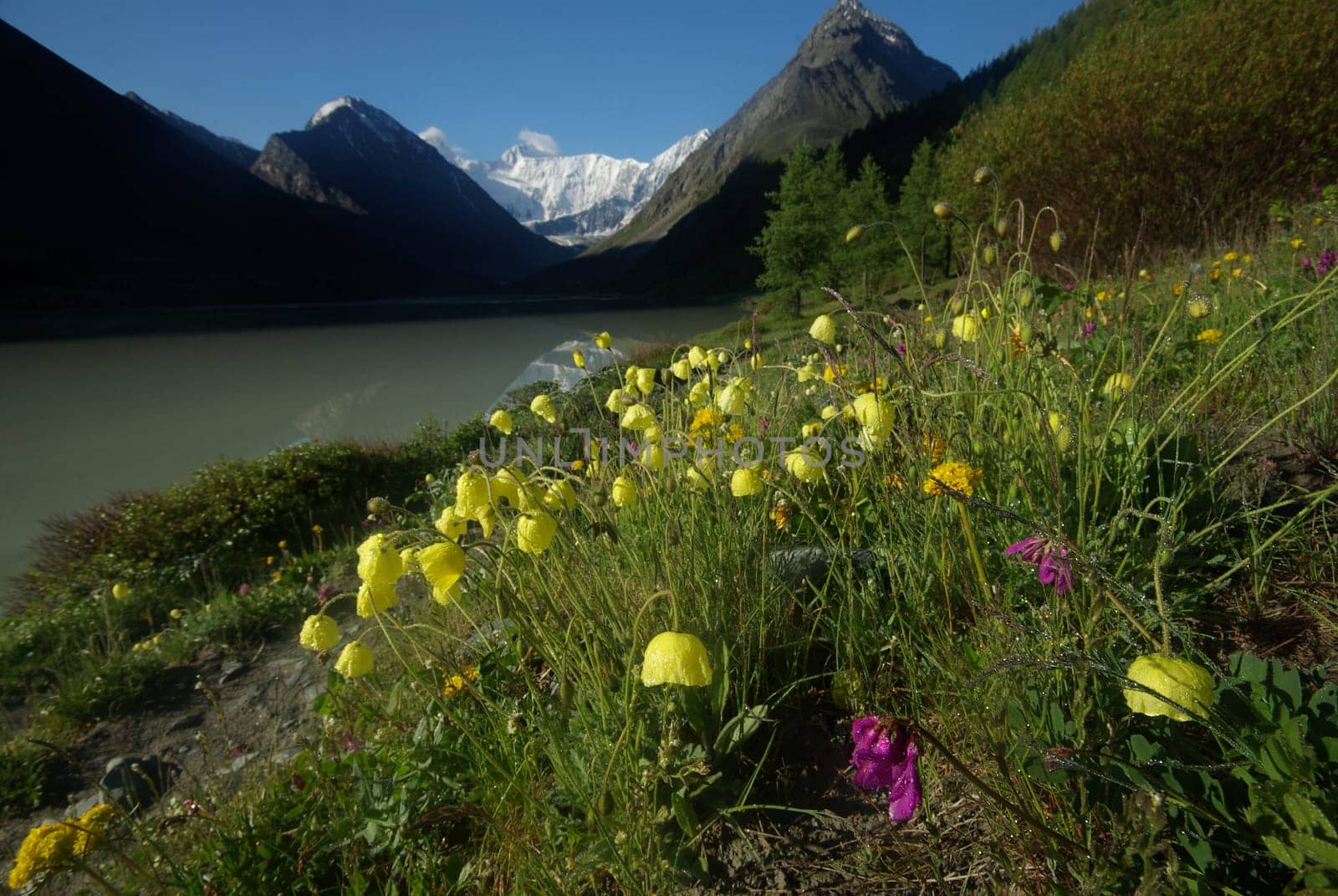 Mountain landscape. Highlands, the mountain peaks, gorges and valleys. The stones on the slopes.