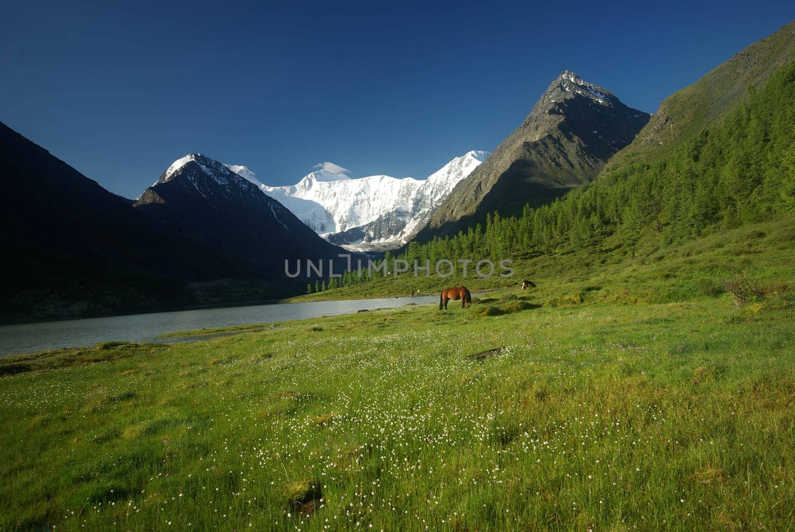 Mountain landscape. Highlands, the mountain peaks, gorges and valleys. The stones on the slopes.