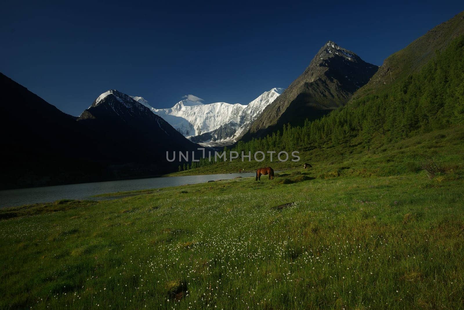 Mountain landscape. Highlands, the mountain peaks, gorges and valleys. The stones on the slopes.