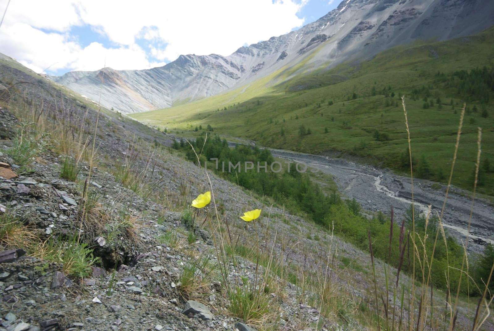 Mountain landscape. Highlands, the mountain peaks, gorges and valleys. The stones on the slopes.