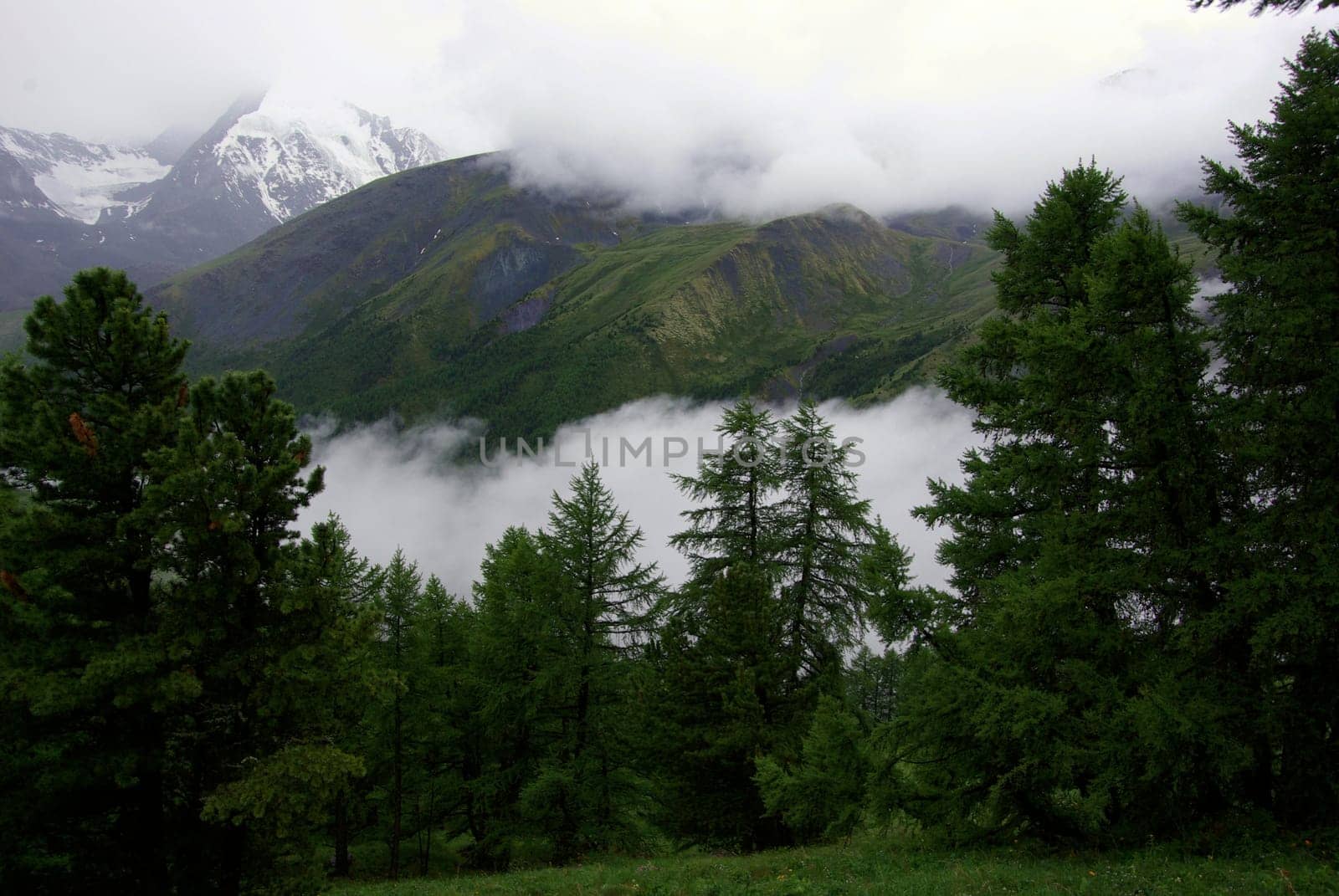 Mountain landscape. Highlands, the mountain peaks, gorges and valleys. The stones on the slopes.