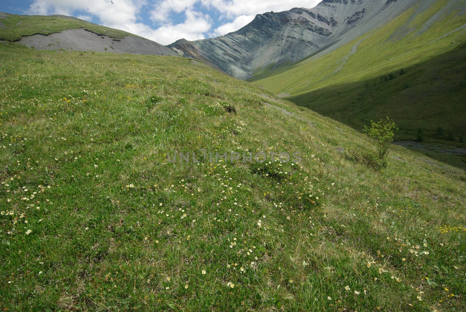 Mountain landscape. Highlands, the mountain peaks, gorges and valleys. The stones on the slopes.
