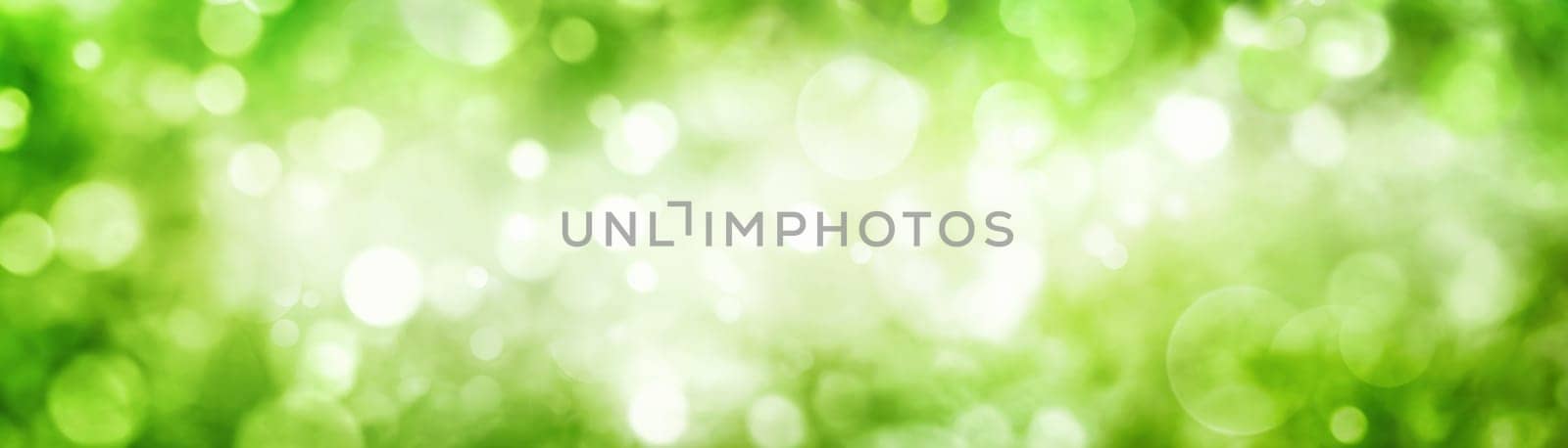 Panoramic background of green foliage bokeh with beautiful shimmering highlights