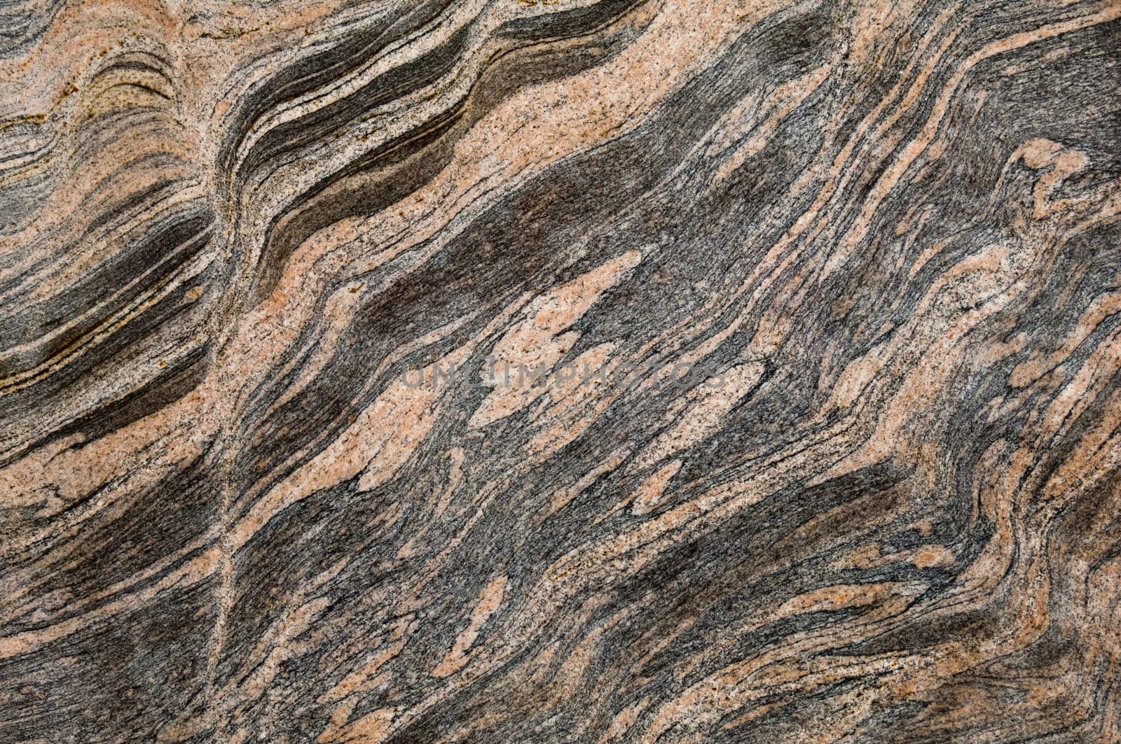 Polished magmatic or metamorphic rock cross section as background