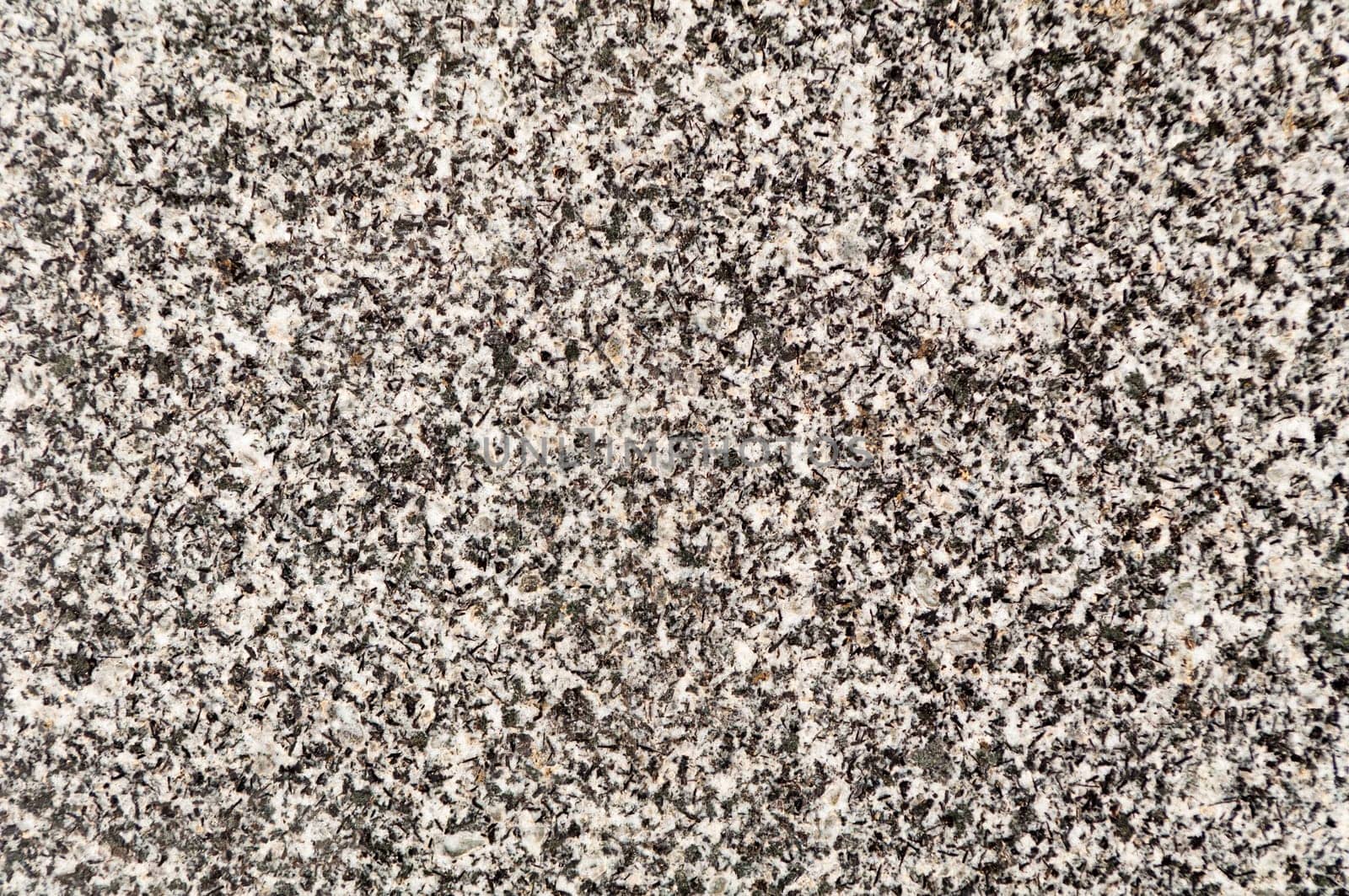 Polished magmatic or metamorphic rock cross section as background