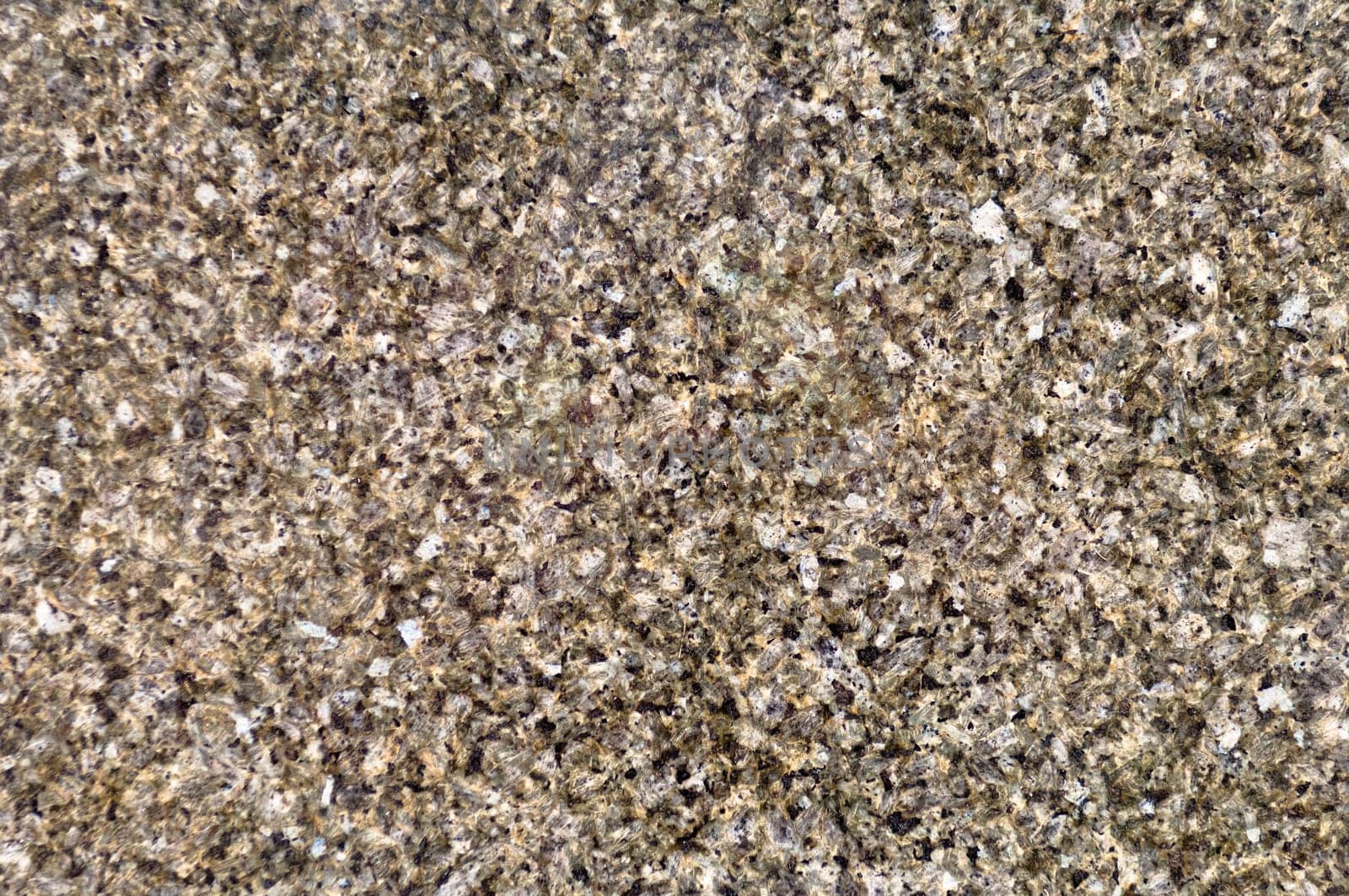 Polished magmatic or metamorphic rock cross section as background