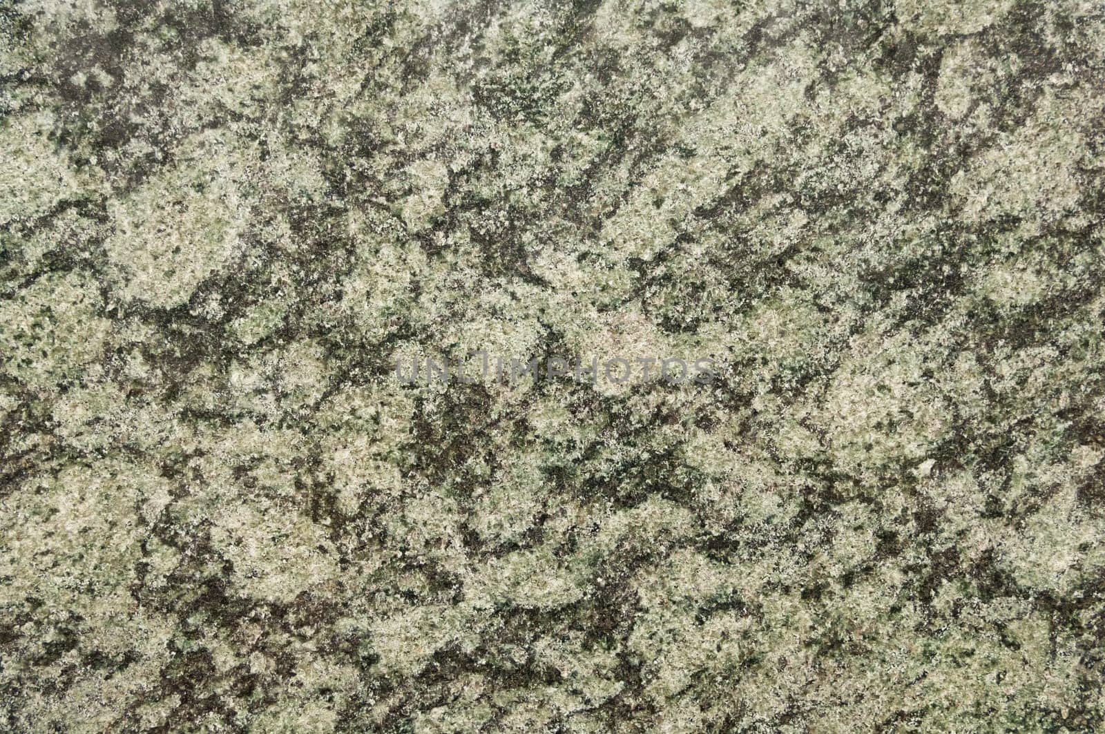 Polished magmatic or metamorphic rock cross section as background