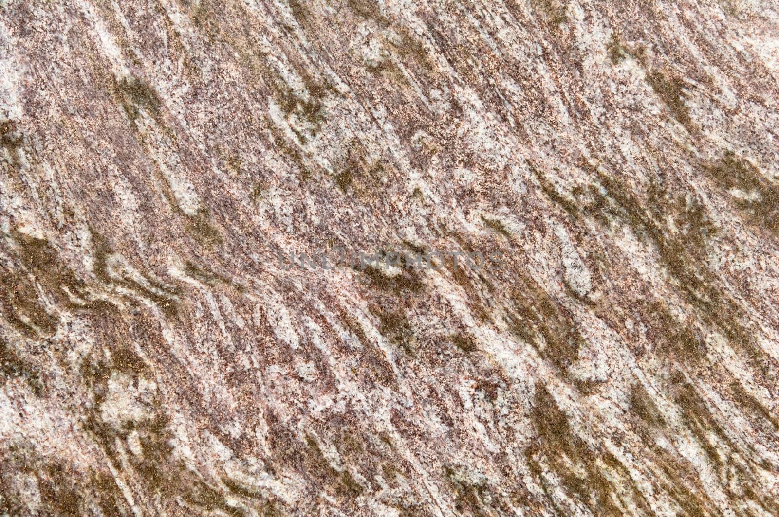 Polished magmatic or metamorphic rock cross section as background