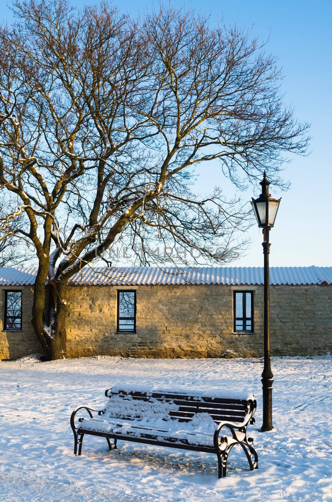 Bench and street lamp in the park winter Old Tallinn