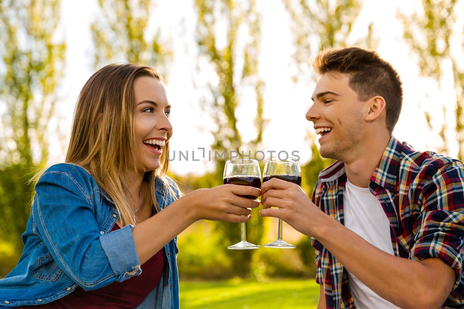 Shot of a beautiful couple on a picnic and making a toast