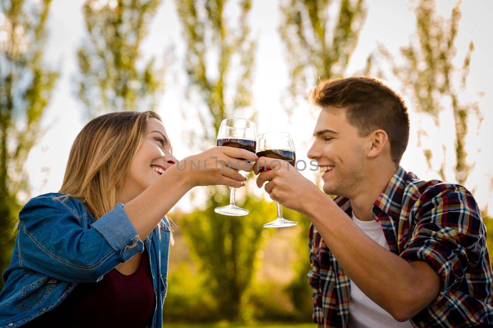 Shot of a beautiful couple on a picnic and making a toast