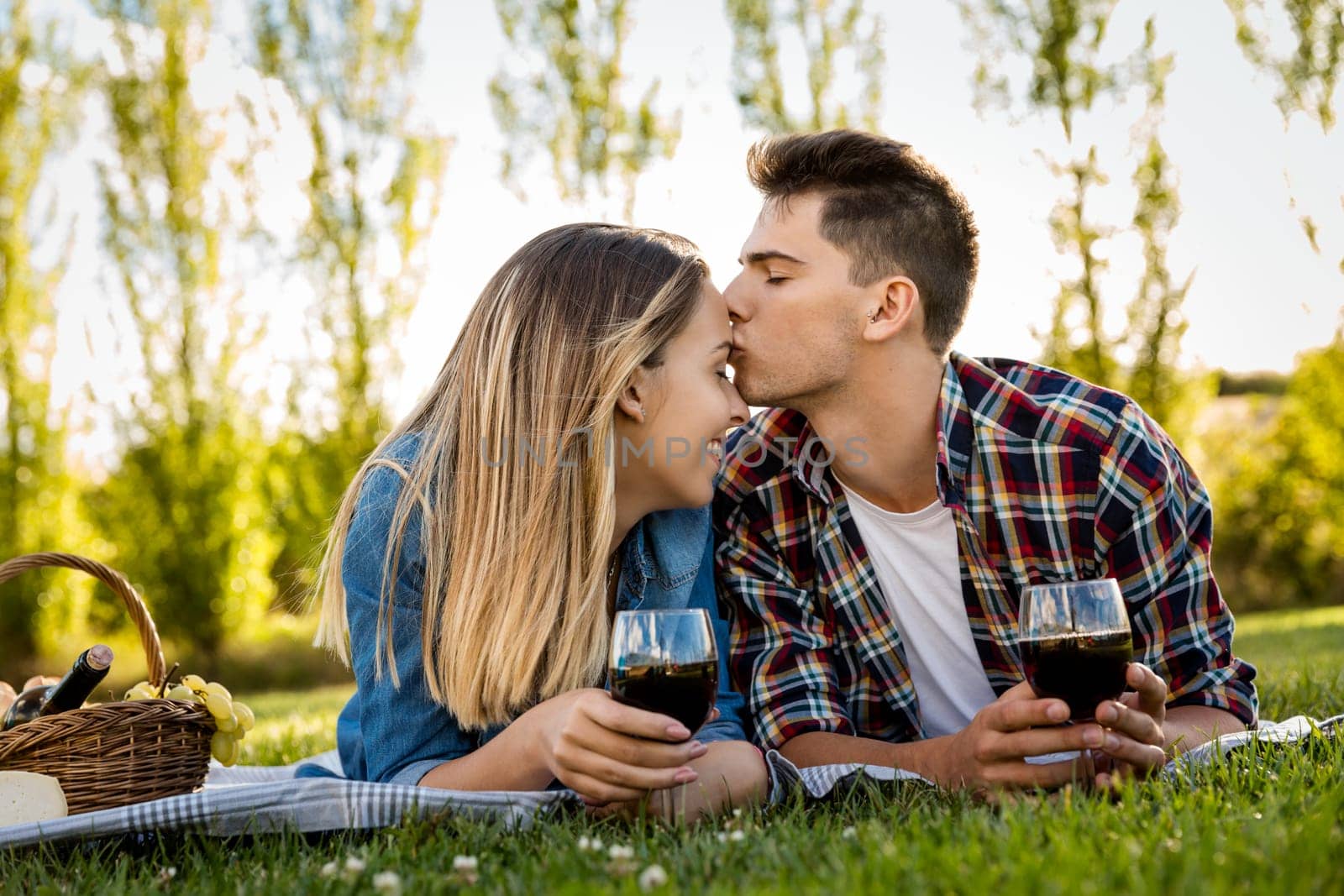 Shot of a beautiful couple on a picnic and making a toast