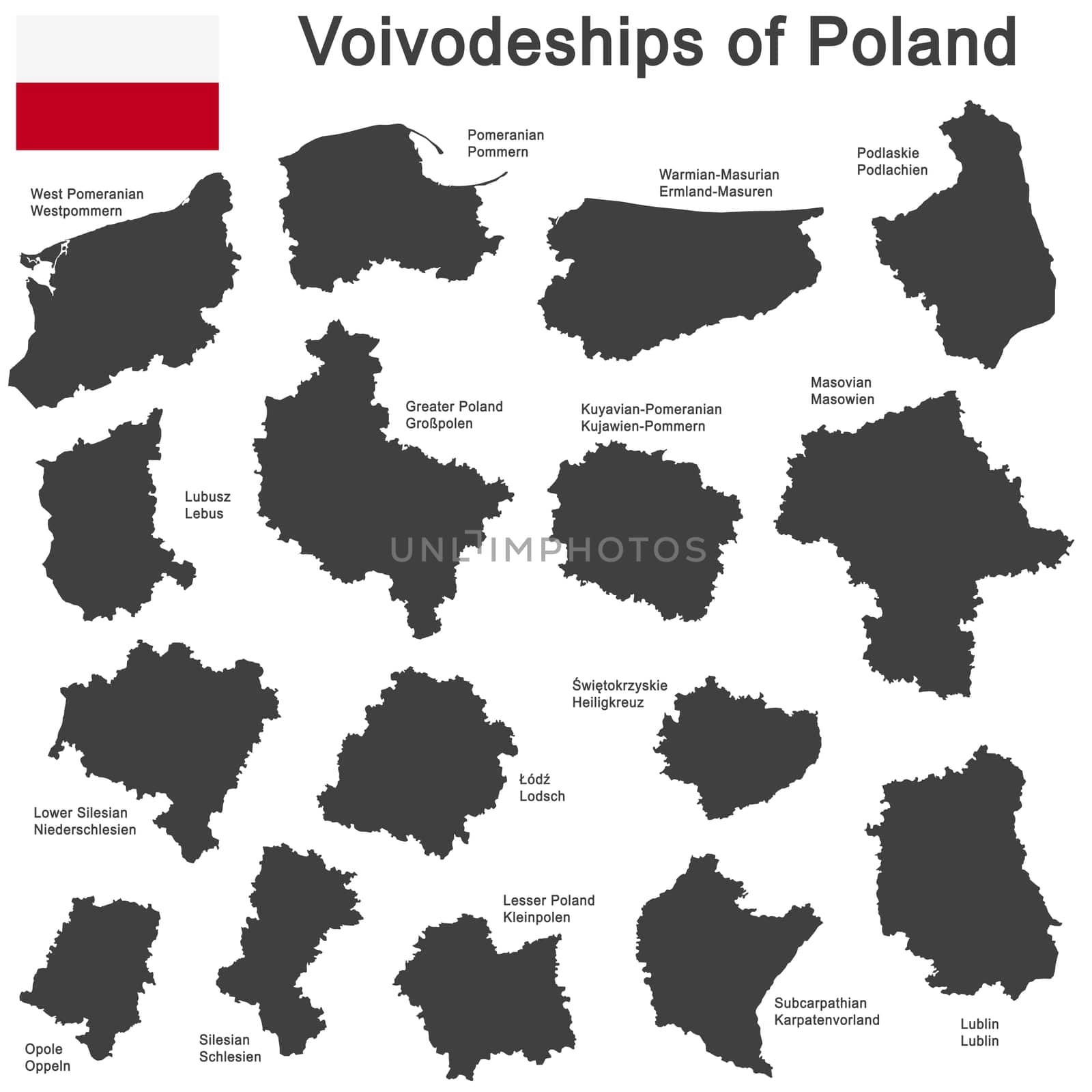 european country Poland and detailed voivodeships (provinces)