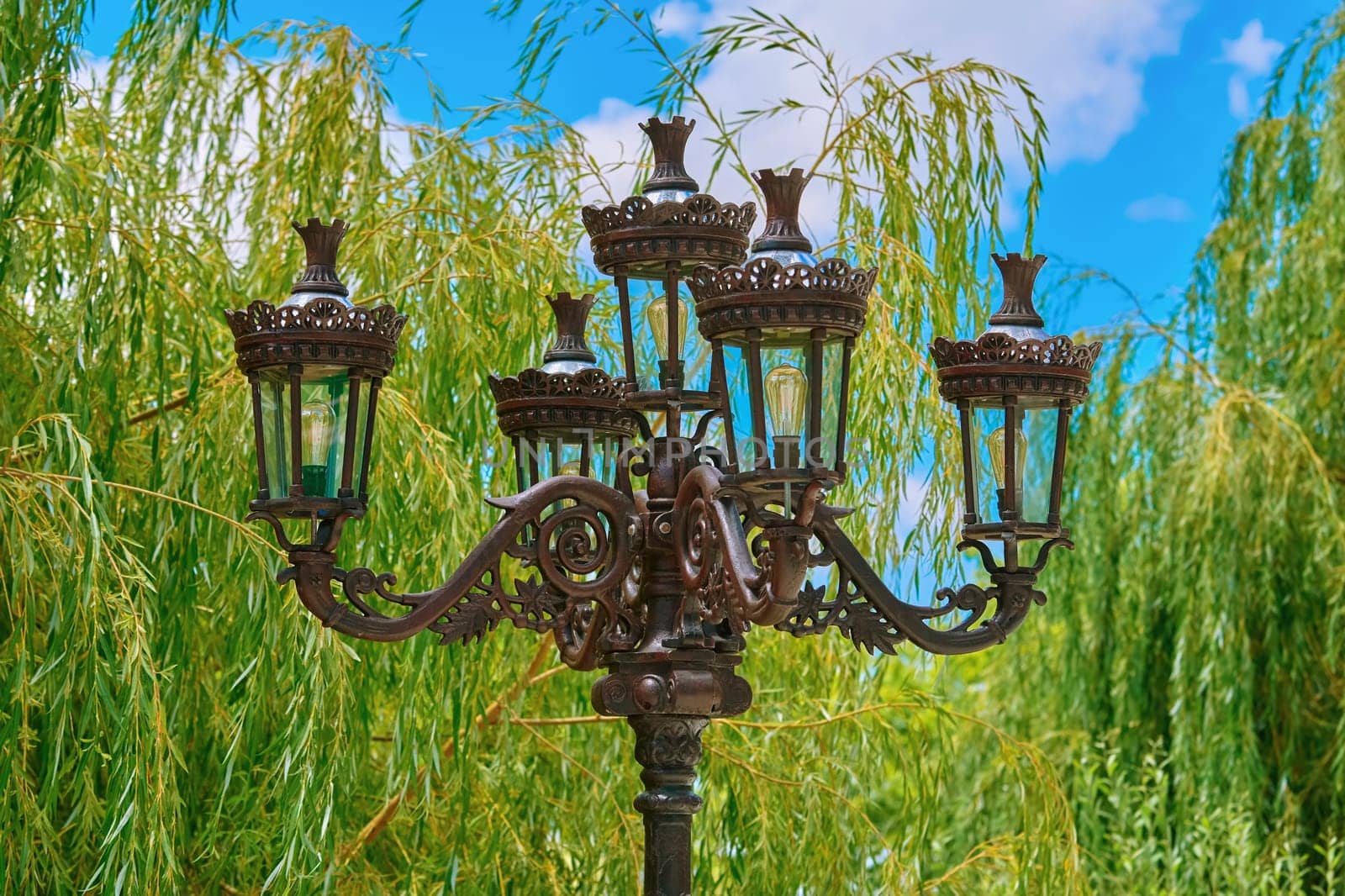 Old Street Lamp on the Background of Willow