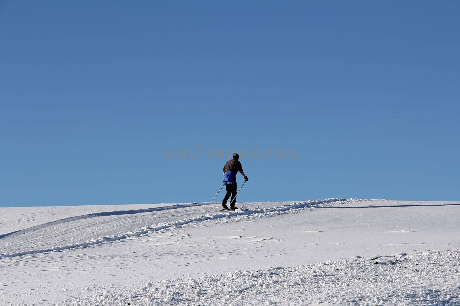 A cross-country skier in winter against the blue sky. Cross-country skiing a popular winter sport
