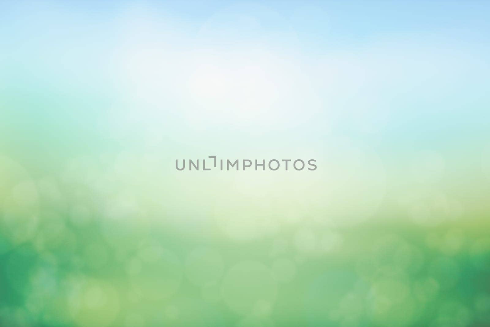 Sunny green meadow natural bokeh background