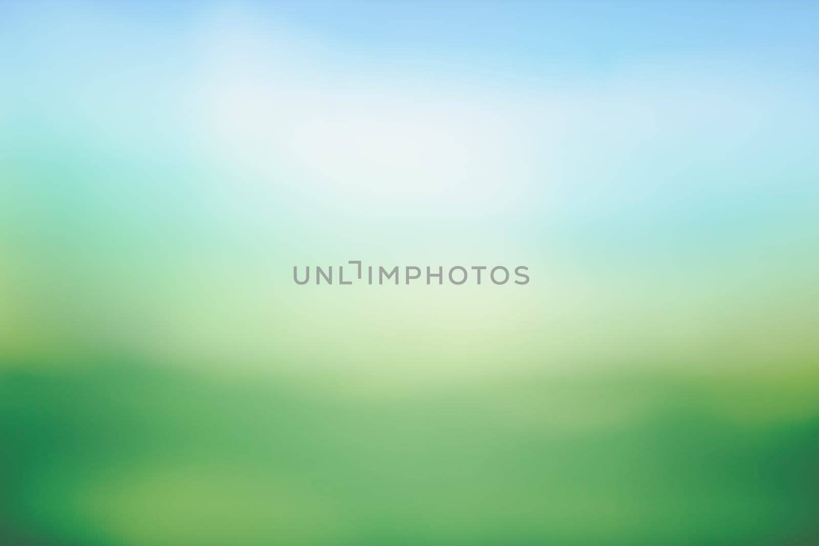 Sunny green meadow natural bokeh background